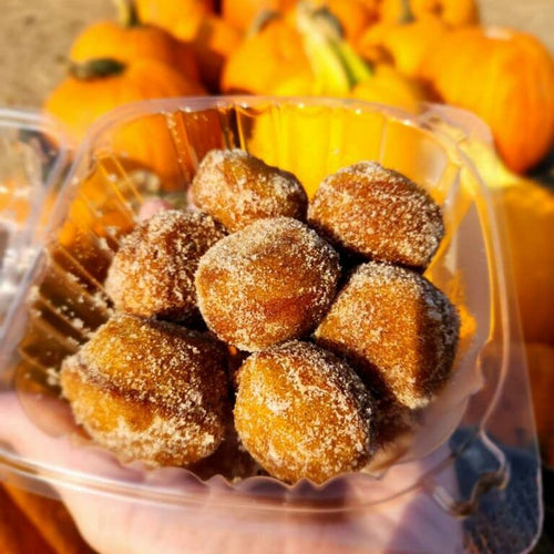 Pumpkin Spice Bites